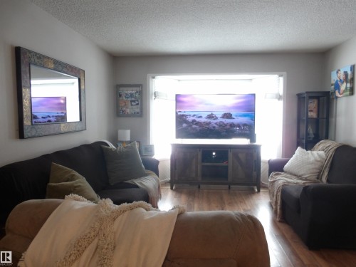 10792 165 Street, Edmonton, AB - Indoor Photo Showing Living Room