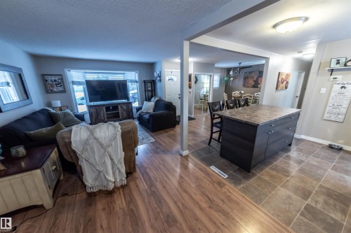 10792 165 Street, Edmonton, AB - Indoor Photo Showing Living Room