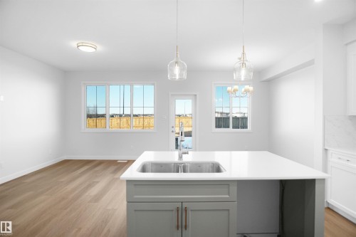 20944 16 Avenue, Edmonton, AB - Indoor Photo Showing Kitchen With Double Sink