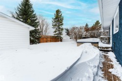 View of snowy yard - 