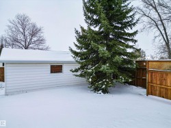 View of yard covered in snow - 