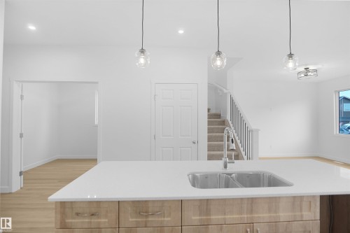 2237 194A Street, Edmonton, AB - Indoor Photo Showing Kitchen With Double Sink