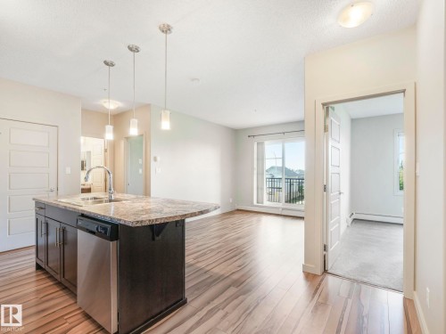 317 1144 Adamson Drive, Edmonton, AB - Indoor Photo Showing Kitchen With Double Sink With Upgraded Kitchen