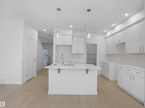 9732 Carson Place, Edmonton, AB - Indoor Photo Showing Kitchen With Double Sink