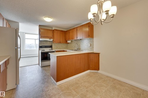 502 11710 100 Avenue, Edmonton, AB - Indoor Photo Showing Kitchen