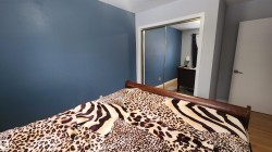 Bedroom featuring a closet, a textured ceiling, and wood finished floors - 
