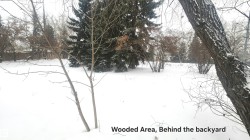 View of yard layered in snow - 