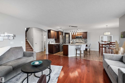 205 Macewan Road, Edmonton, AB - Indoor Photo Showing Living Room
