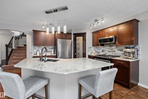 205 Macewan Road, Edmonton, AB - Indoor Photo Showing Kitchen With Double Sink With Upgraded Kitchen
