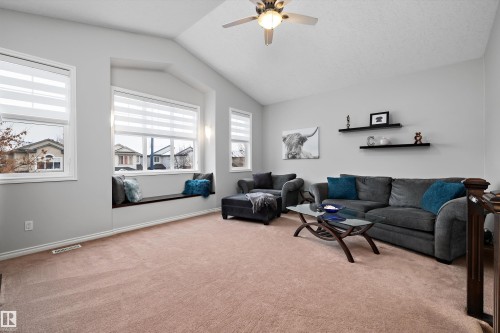 205 Macewan Road, Edmonton, AB - Indoor Photo Showing Living Room