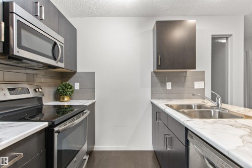 206 5521 7 Avenue, Edmonton, AB - Indoor Photo Showing Kitchen With Double Sink