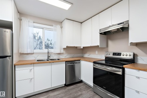 1782 Lakewood Road S, Edmonton, AB - Indoor Photo Showing Kitchen With Stainless Steel Kitchen With Double Sink