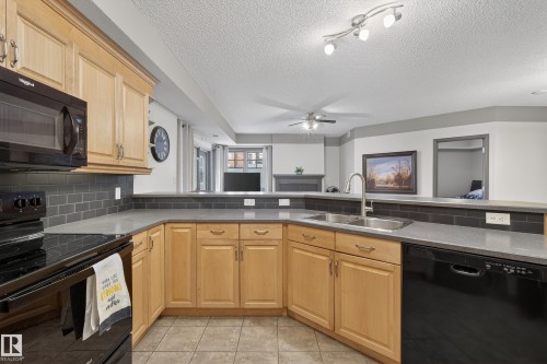 102 9803 96A Street, Edmonton, AB - Indoor Photo Showing Kitchen With Double Sink