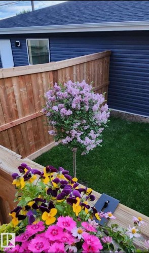 13026 120 Street, Edmonton, AB - Outdoor