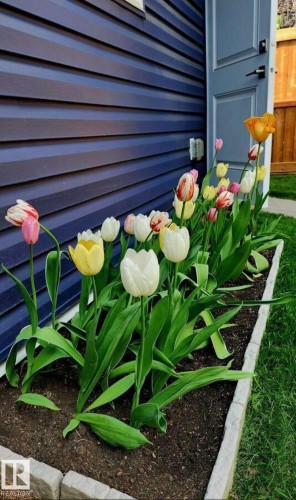 13026 120 Street, Edmonton, AB - Outdoor