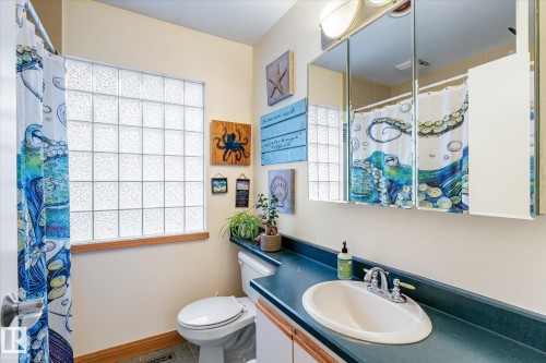 10332 78 Street, Edmonton, AB - Indoor Photo Showing Bathroom