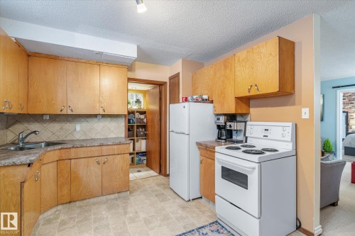 10332 78 Street, Edmonton, AB - Indoor Photo Showing Kitchen With Double Sink