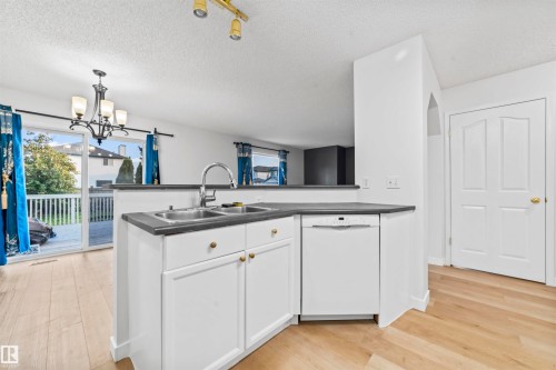 3231 30 Avenue Nw, Edmonton, AB - Indoor Photo Showing Kitchen With Double Sink