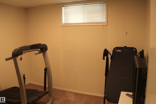 4403 107A Avenue, Edmonton, AB - Indoor Photo Showing Gym Room