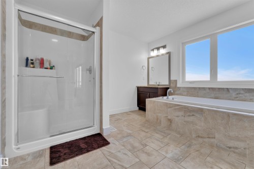 4231 Charles Close, Edmonton, AB - Indoor Photo Showing Bathroom