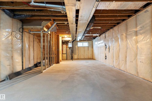 2004 191 Street, Edmonton, AB - Indoor Photo Showing Basement