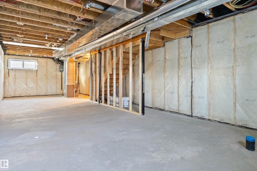 2012 191 Street, Edmonton, AB - Indoor Photo Showing Basement