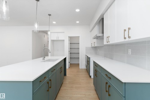 4015 208 Street, Edmonton, AB - Indoor Photo Showing Kitchen With Upgraded Kitchen