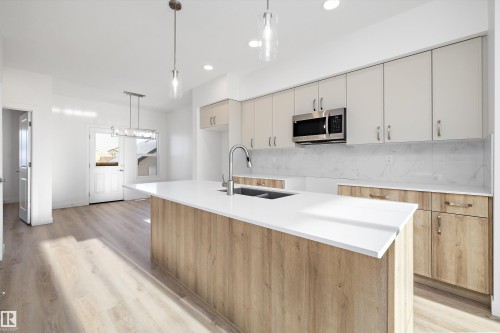 20608 42 Avenue, Edmonton, AB - Indoor Photo Showing Kitchen With Double Sink With Upgraded Kitchen