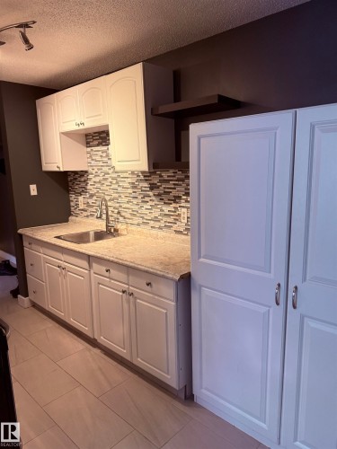 301 10606 123 Street, Edmonton, AB - Indoor Photo Showing Kitchen