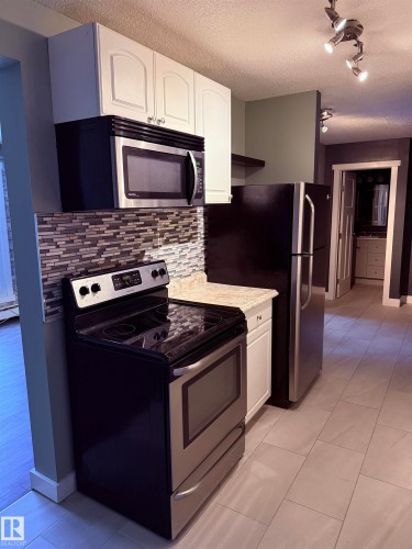 301 10606 123 Street, Edmonton, AB - Indoor Photo Showing Kitchen