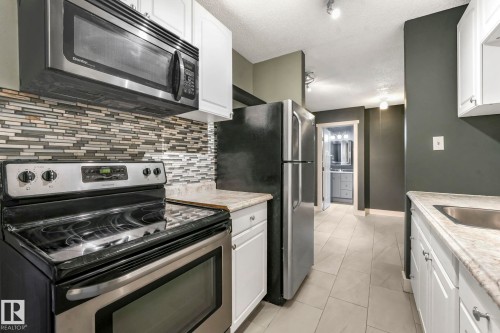 301 10606 123 Street, Edmonton, AB - Indoor Photo Showing Kitchen