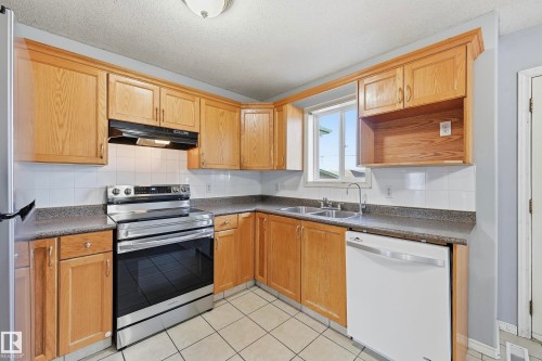 11727 83 Street, Edmonton, AB - Indoor Photo Showing Kitchen With Double Sink