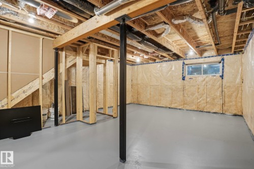 2007 160 Street, Edmonton, AB - Indoor Photo Showing Basement