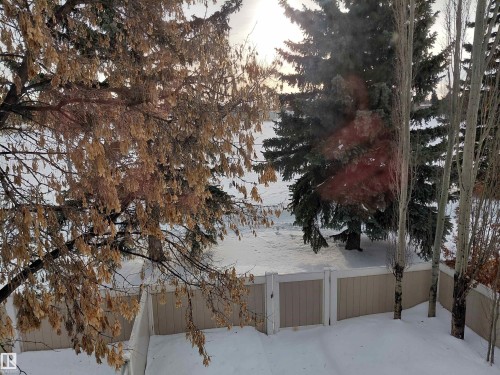 7721 37 Avenue, Edmonton, AB - Outdoor