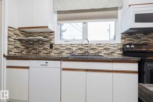13419 102 Street, Edmonton, AB - Indoor Photo Showing Kitchen With Double Sink