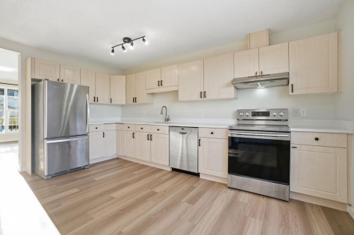 3014 31 Avenue, Edmonton, AB - Indoor Photo Showing Kitchen With Stainless Steel Kitchen