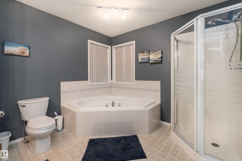 67 Dechene Road, Edmonton, AB - Indoor Photo Showing Bathroom