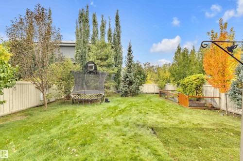 Edmonton, AB - Outdoor With Backyard