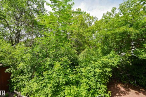 14232 Ravine Drive, Edmonton, AB - Outdoor