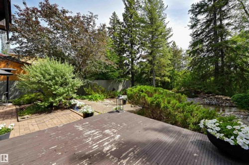 14232 Ravine Drive, Edmonton, AB - Outdoor