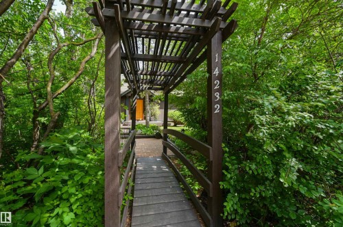 14232 Ravine Drive, Edmonton, AB - Outdoor