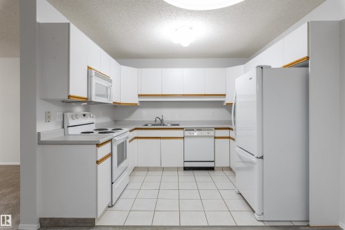 304 8811 106A Avenue, Edmonton, AB - Indoor Photo Showing Kitchen With Double Sink