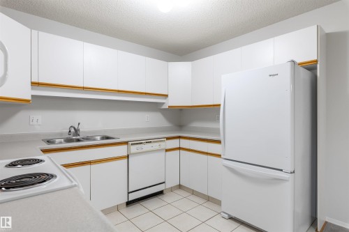 304 8811 106A Avenue, Edmonton, AB - Indoor Photo Showing Kitchen With Double Sink