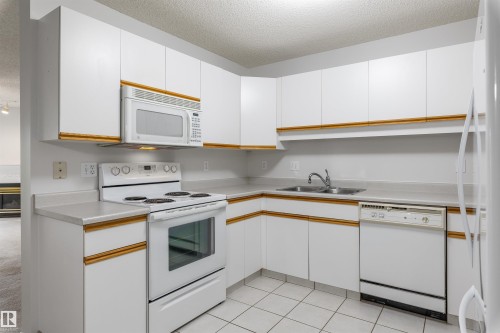 304 8811 106A Avenue, Edmonton, AB - Indoor Photo Showing Kitchen With Double Sink
