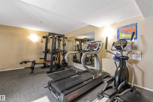 304 8811 106A Avenue, Edmonton, AB - Indoor Photo Showing Gym Room