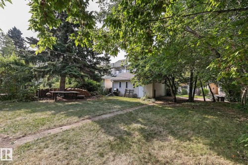 View of green lawn featuring a garage - 11559 80 Avenue, Edmonton, AB - Outdoor