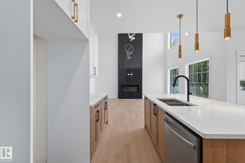 1133 Gyrfalcon Crescent, Edmonton, AB - Indoor Photo Showing Kitchen With Double Sink With Upgraded Kitchen