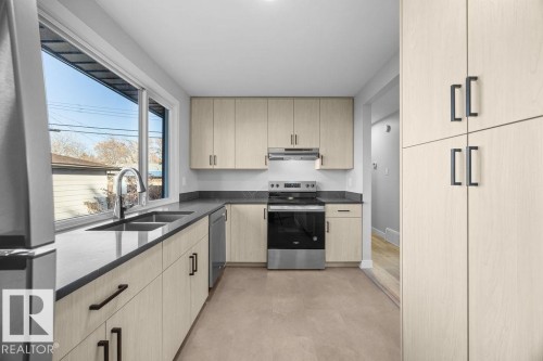 10458 166 Street, Edmonton, AB - Indoor Photo Showing Kitchen With Double Sink