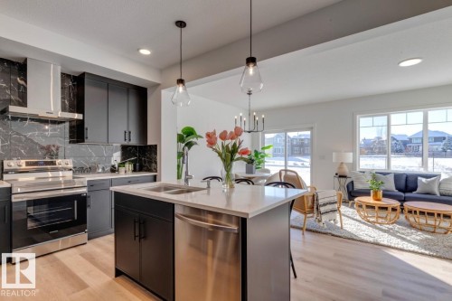 1530 Grant Way, Edmonton, AB - Indoor Photo Showing Kitchen With Double Sink With Upgraded Kitchen