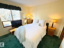 Bedroom with a decorative wall and dark carpet - 